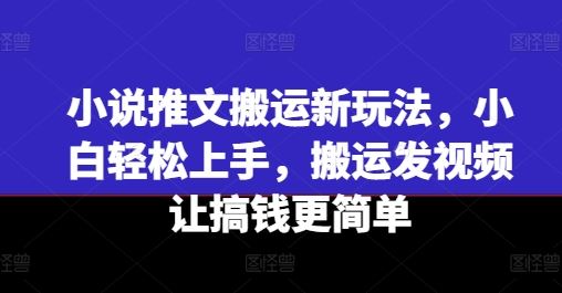 小说推文搬运新玩法，小白轻松上手，搬运发视频让搞钱更简单-网创资源站