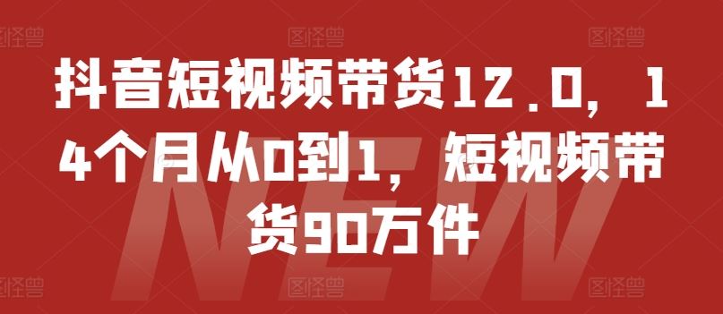 抖音短视频带货12.0,14个月从0到1,短视频带货90万件-网创资源站