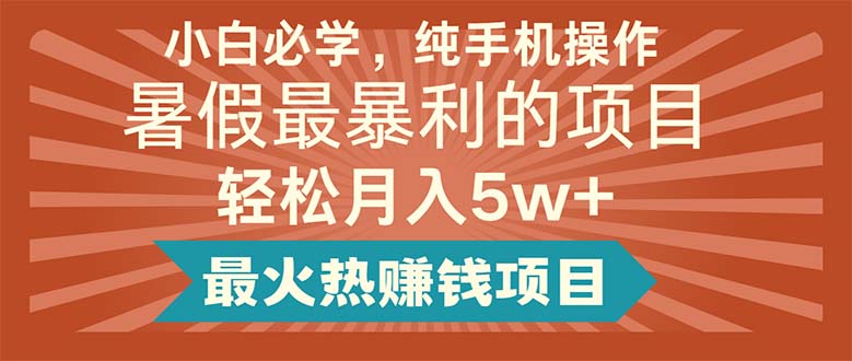 （11583期）小白必学，纯手机操作，暑假最暴利的项目轻松月入5w+最火热赚钱项目-网创资源站