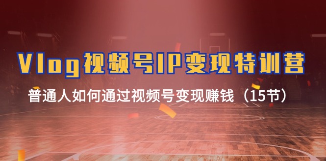 (11654期)Vlog 视频号IP变现特训营,普通人如何通过视频号变现赚钱(15节)-网创资源站