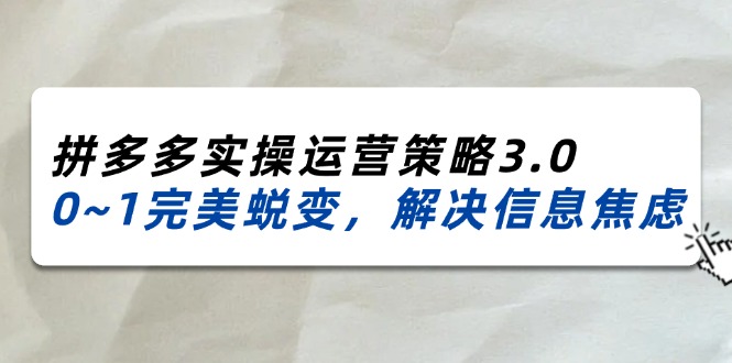 （11658期）2024_2025拼多多实操运营策略3.0，0~1完美蜕变，解决信息焦虑（38节）-网创资源站