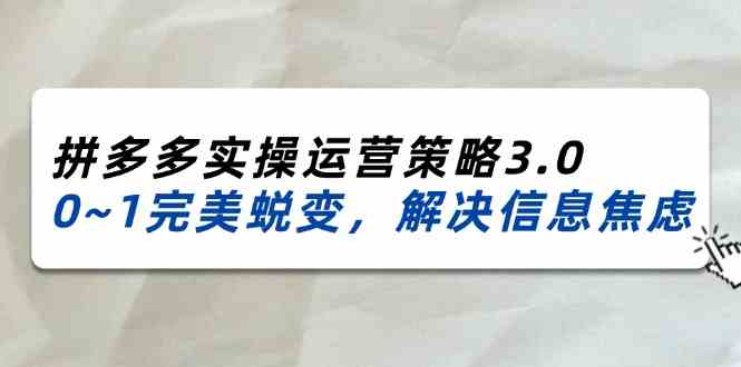 2024-2025拼多多实操运营策略3.0，0~1完美蜕变，解决信息焦虑（38节）-网创资源站