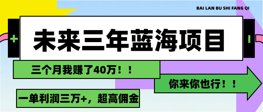 （11716期）未来三年，蓝海赛道，月入3万+-网创资源站