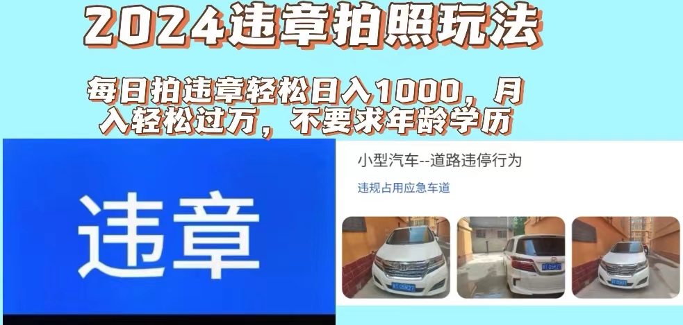 （11743期）2024违章拍照新玩法，推广躺赚+拍照赚钱双模式，日入1000+-网创资源站