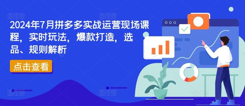 2024年7月拼多多实战运营现场课程，实时玩法，爆款打造，选品、规则解析-网创资源站