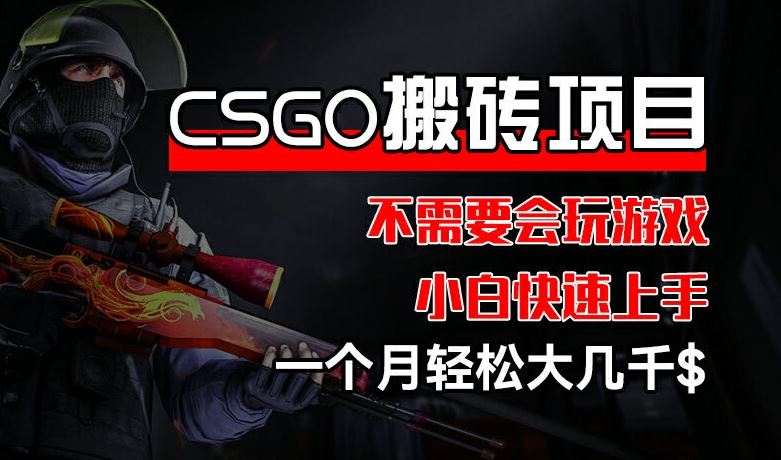 CSGO 装备搬砖项目，操作简单，不需要会玩游戏，小白也能快速上手，一个月轻松大几千【揭秘】-网创资源站