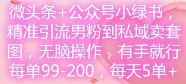 微头条+公众号小绿书,精准引流男粉到私域卖套图,无脑操作,有手就行,每单99-200,每天5单-网创资源站