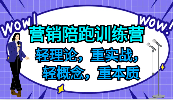 营销陪跑训练营，轻理论，重实战，轻概念，重本质，适合中小企业和初创企业的老板-网创资源站