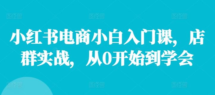 小红书电商小白入门课，店群实战，从0开始到学会-网创资源站