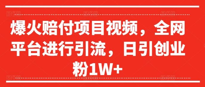爆火赔付项目视频，全网平台进行引流，日引创业粉1W+【揭秘】-网创资源站