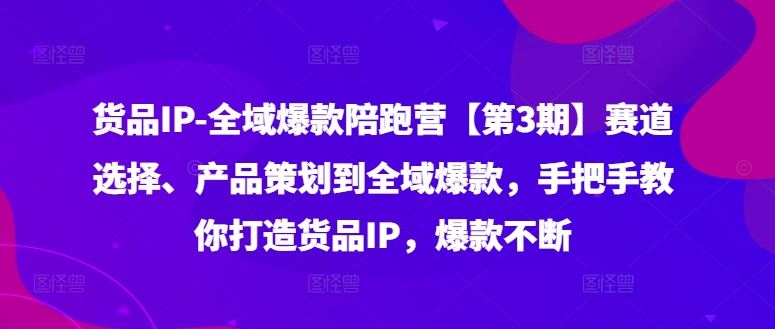 货品IP全域爆款陪跑营【第3期】赛道选择、产品策划到全域爆款,手把手教你打造货品IP,爆款不断-网创资源站