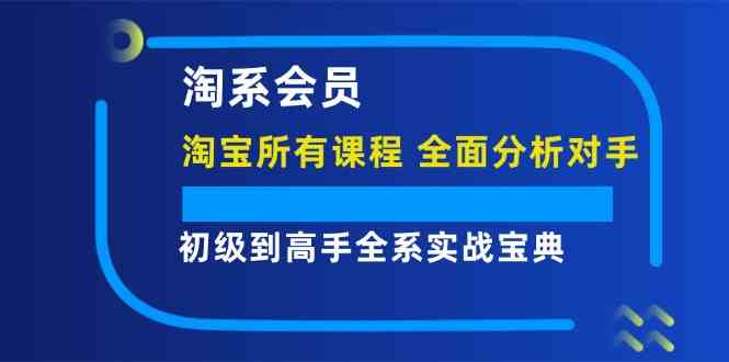 淘系会员初级到高手全系实战宝典【淘宝所有课程，全面分析对手】-网创资源站