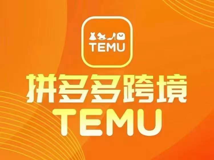 最新TEMU拼多多跨境教程，开店、运营、选品-网创资源站