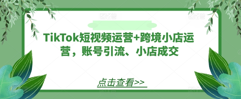 TikTok短视频运营+跨境小店运营，账号引流、小店成交-网创资源站