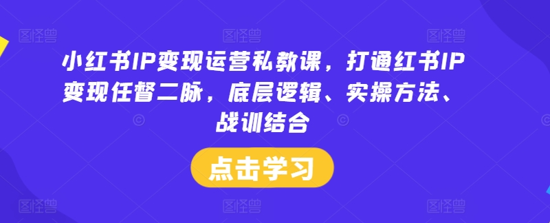 小红书IP变现运营私教课，打通红书IP变现任督二脉，底层逻辑、实操方法、战训结合-网创资源站