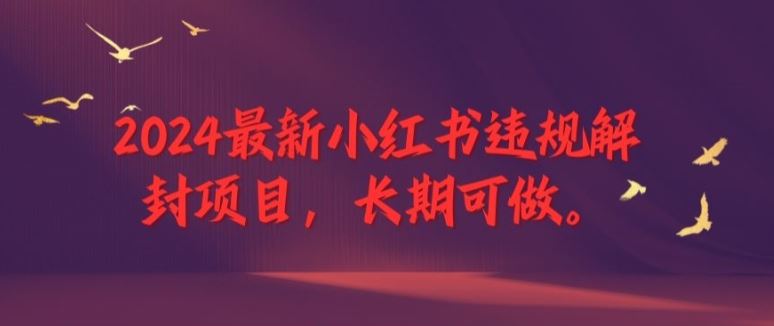 2024最新小红书违规解封项目，长期可做，一个可以做到退休的项目【揭秘】-网创资源站