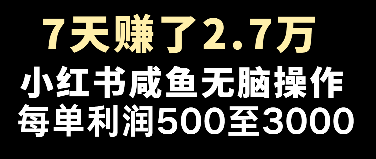 七天赚了2.7万！每单利润最少500+，轻松月入5万+小白有手就行-网创资源站