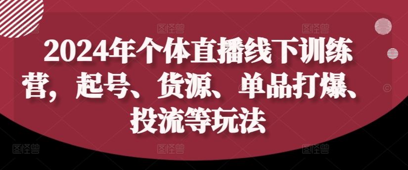 2024年个体直播训练营，起号、货源、单品打爆、投流等玩法-网创资源站