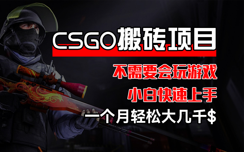 （12332期）CSGO 装备搬砖项目，操作简单，不需要会玩游戏，小白也能快速上手，一…-网创资源站