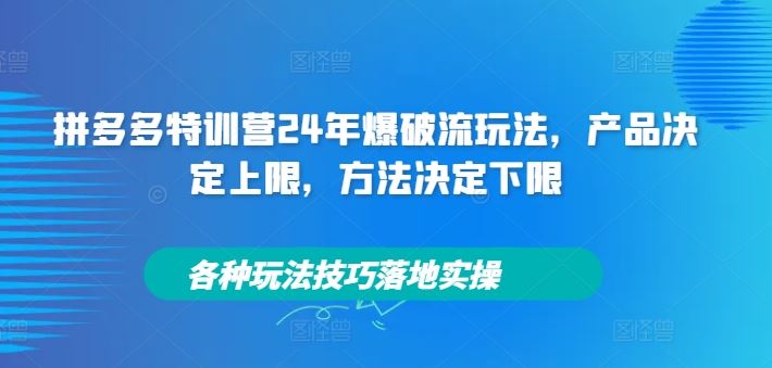 拼多多特训营24年爆破流玩法,产品决定上限,方法决定下限,各种玩法技巧落地实操-网创资源站
