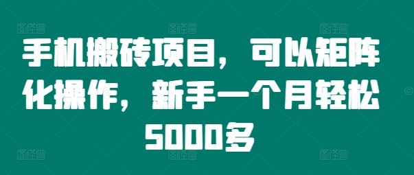 手机搬砖项目，可以矩阵化操作，新手一个月轻松5000多-网创资源站