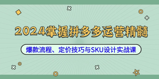 2024掌握拼多多运营精髓：爆款流程、定价技巧与SKU设计实战课-网创资源站