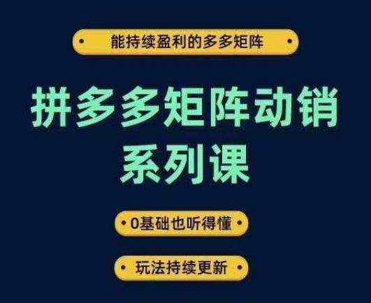 拼多多矩阵动销系列课，能持续盈利的多多矩阵，0基础也听得懂，玩法持续更新-网创资源站