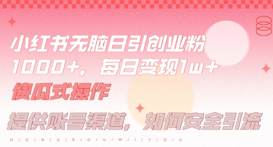 小红书无脑每日引流创业粉500+，小白每天只花半小时，躺赚长尾收益【揭秘】-网创资源站