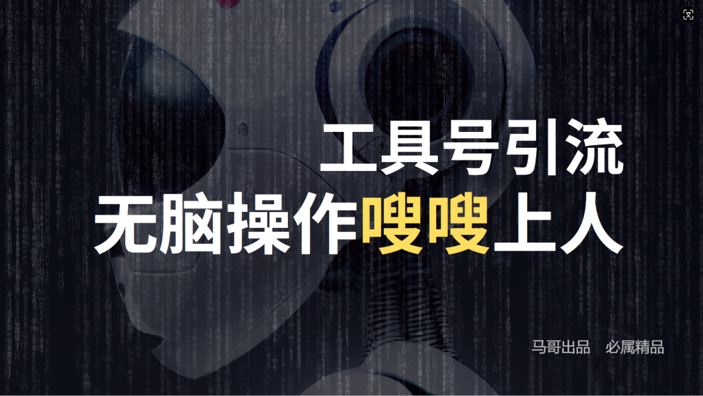 24年抖音最新工具号日引流300+创业粉，日入5000+-网创资源站