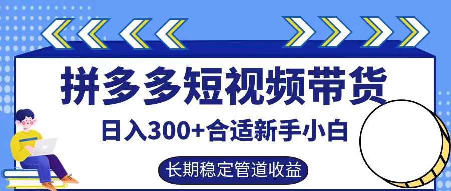 拼多多短视频带货日入300+，实操账户展示看就能学会-网创资源站