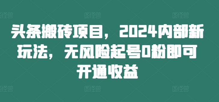 头条搬砖项目，2024内部新玩法，无风险起号0粉即可开通收益-网创资源站