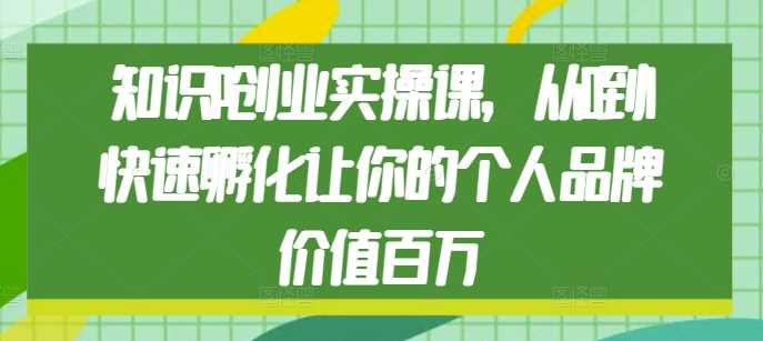 知识IP创业实操课,从0到1快速孵化让你的个人品牌价值百万-网创资源站