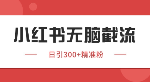 小红书截流同行客源，独家野路子获客玩法 日引200+暴力获客【揭秘】-网创资源站