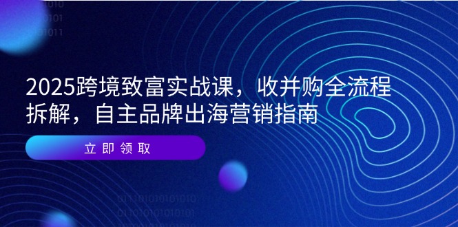 2025跨境致富实战课，收并购全流程拆解，自主品牌出海营销指南-网创资源站