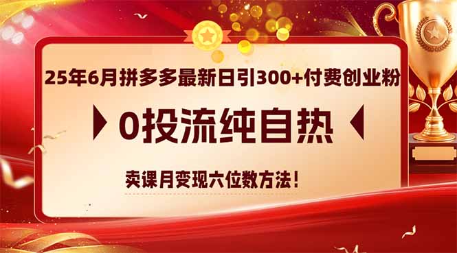 25年6月拼多多最新日引300+付费创业粉，0投流纯自热 卖课月变现六位数方法-网创资源站