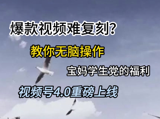 视频号4.0重磅上线，爆款视频难复刻？教你无脑操作宝妈学生党的福利【揭秘】-网创资源站