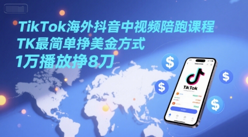 TikTok海外抖音中视频陪跑课程，TK最简单挣美金方式，1万播放挣8刀-网创资源站