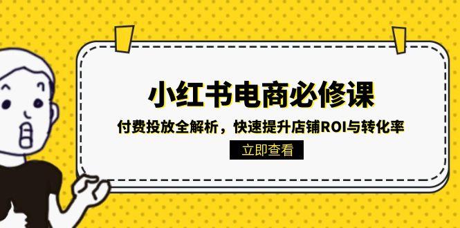 小红书电商必修课：付费投放全解析，快速提升店铺ROI与转化率-网创资源站