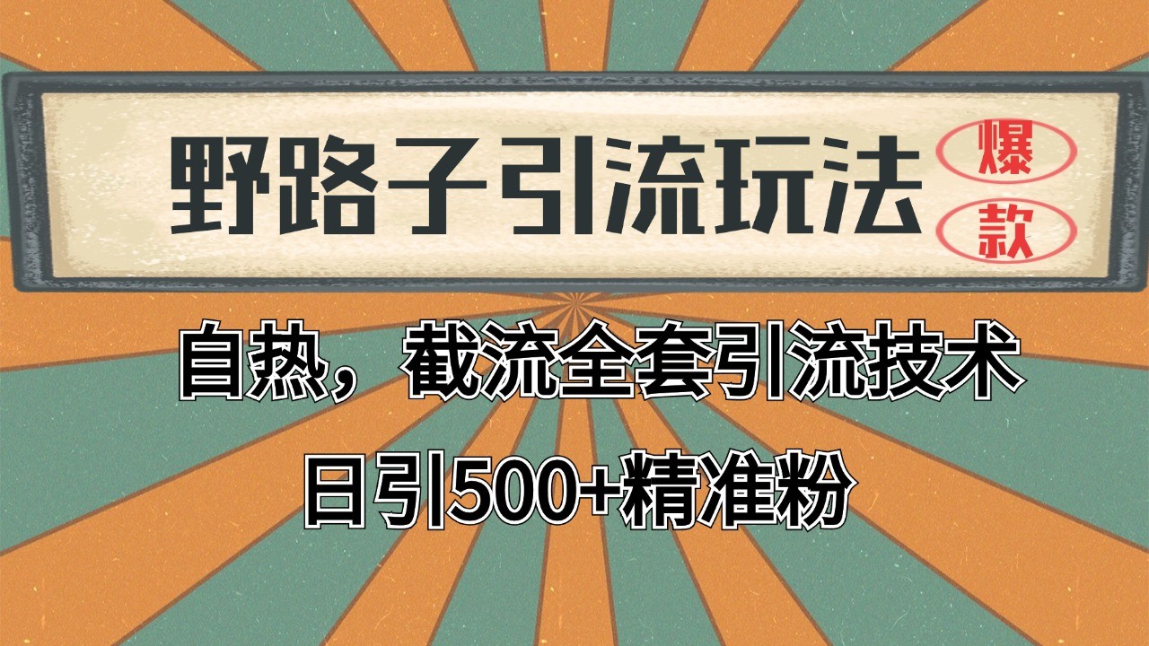 2024首发野路子引流玩法截流自热全平台打法，全自动引流【日引2000+精准客户】-网创资源站