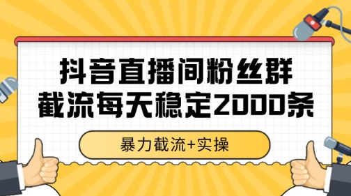 抖音直播间粉丝群暴力截流，一台电脑每天稳定2000条数据【揭秘】-网创资源站