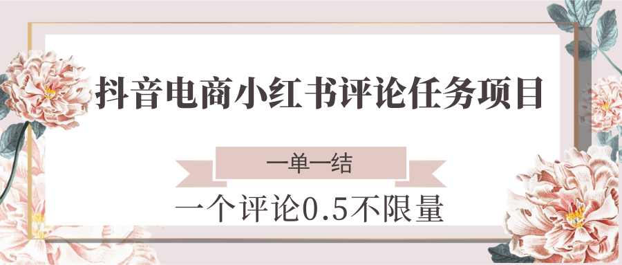 抖音电商小红书评论任务项目，一个评论0.5，一单一结 不限量-网创资源站