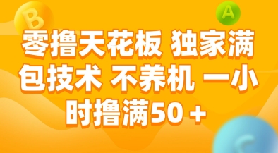 零撸天花板，独家满包技术，不用养机，一小时撸满50+，收益稳定【揭秘】-网创资源站