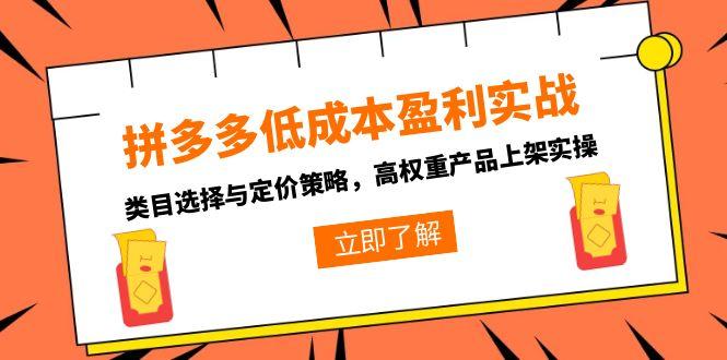 拼多多低成本盈利实战，类目选择与定价策略，高权重产品上架实操-网创资源站