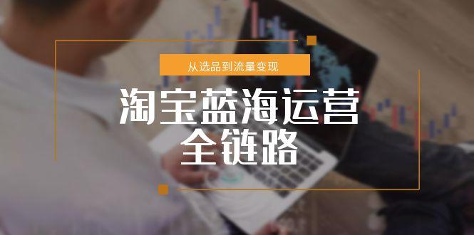 淘宝蓝海运营全链路，从选品到流量变现，小类目突围完整方案-网创资源站