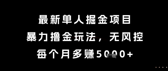 最新单人掘金项目，暴力撸金玩法，无风控，每个月多挣5k+【揭秘】-网创资源站