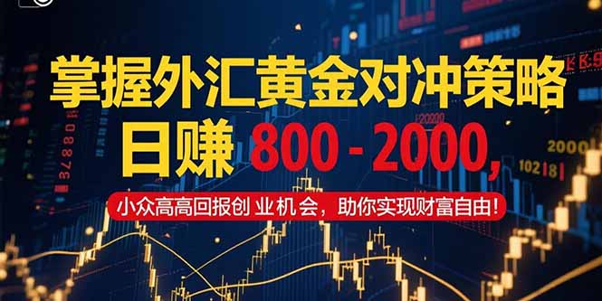 掌握外汇黄金对冲策略，日赚 800 – 2000，小众高回报创业机会，助你实…-网创资源站