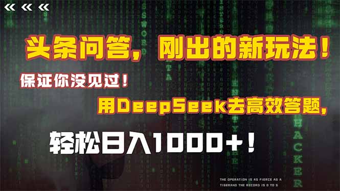 头条问答，刚出的新玩法！保证你没见过！结合Deepseek高效答题，日入1000+-网创资源站