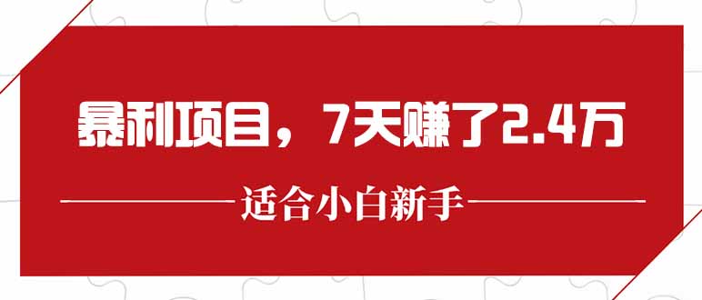 最新暴利项目，每单收益轻松在300以上，7天赚了2.4万-网创资源站