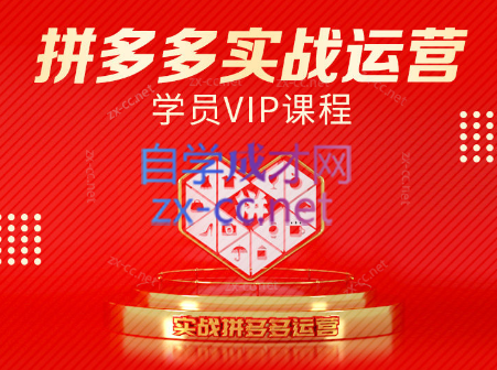 推易电商·拼多多实战运营课(更新2025月)-网创资源站