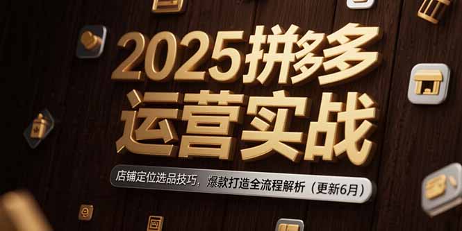 2025拼多多运营实战：店铺定位选品技巧，爆款打造全流程解析(更新6月-网创资源站